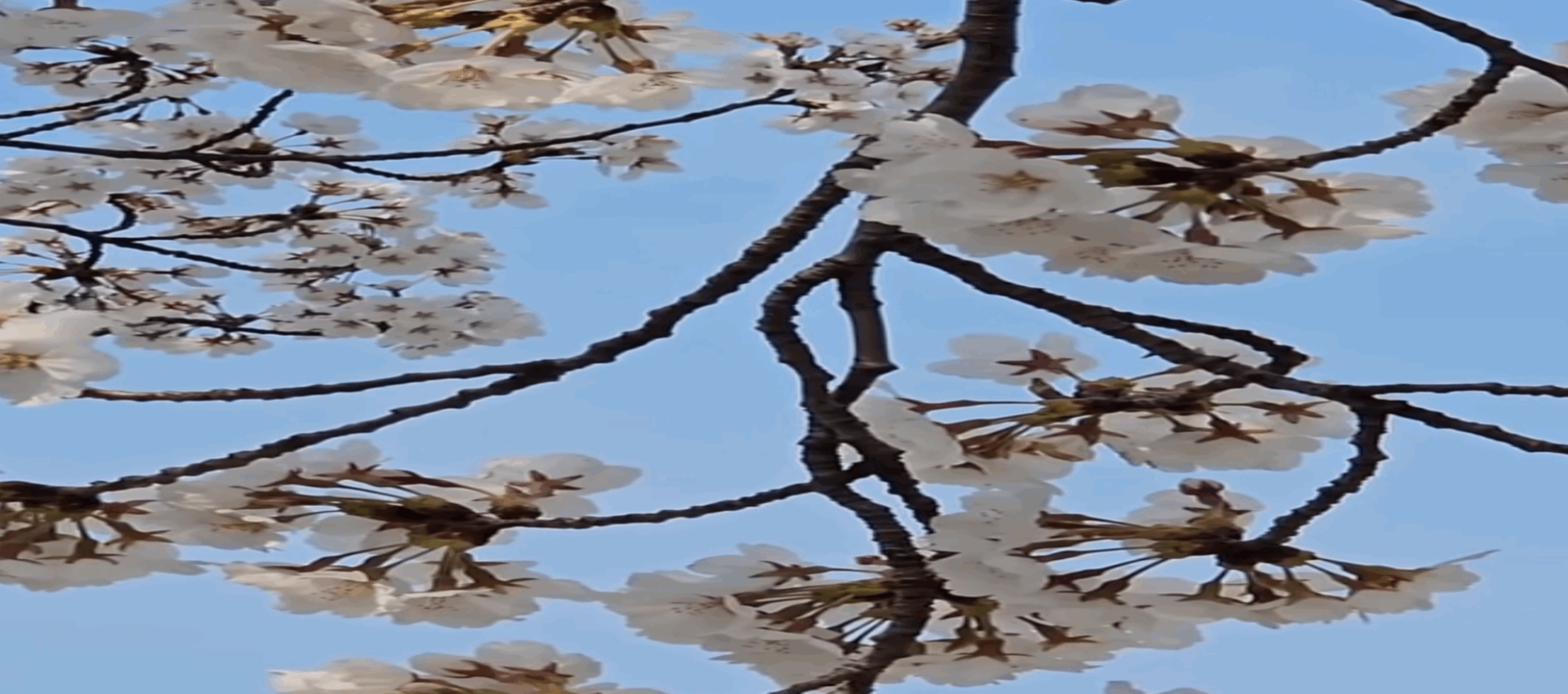 스크린샷 2026-04-07 112824.gif