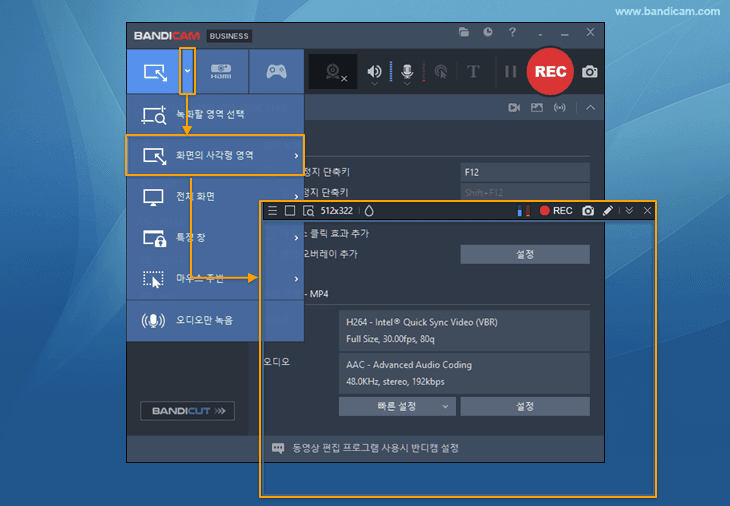 반디캠 사용방법, 사각형 화면 녹화