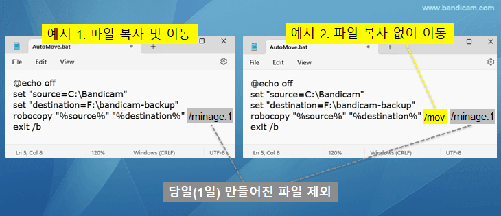 로보카피 명령어, 파일 이동