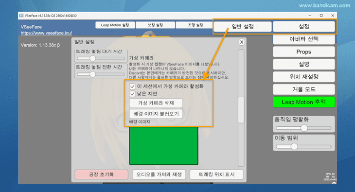 VSeeFace 가상 카메라 옵션