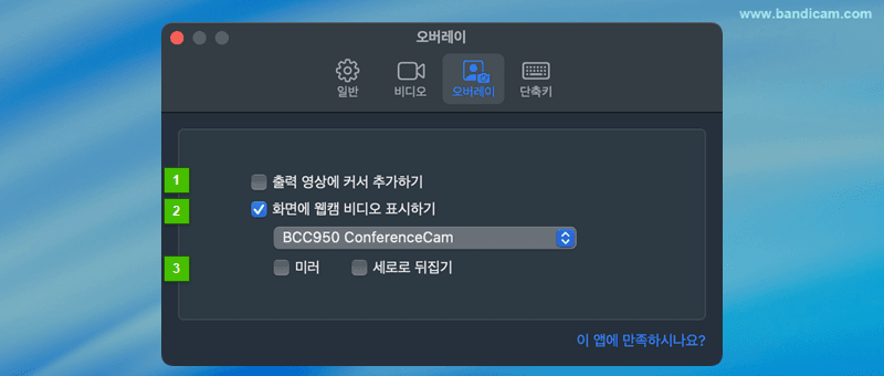 오버레이 설정