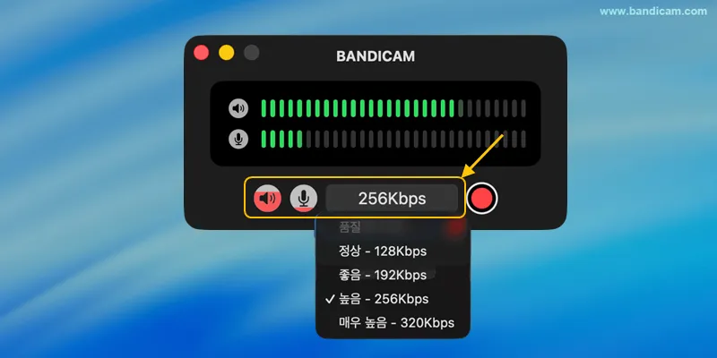 맥 시스템 오디오 및 마이크 녹음 설정