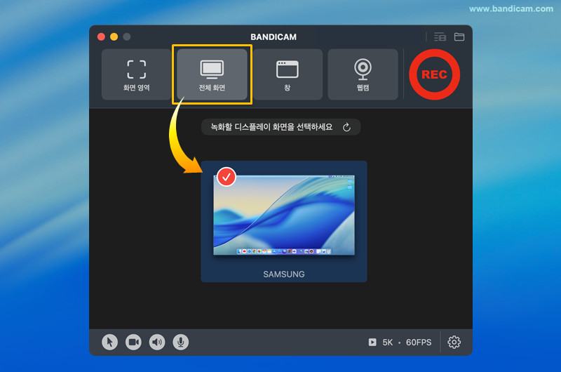 전체 화면 선택