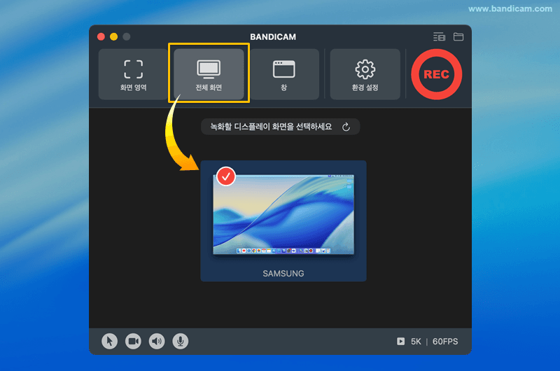 전체 화면 선택