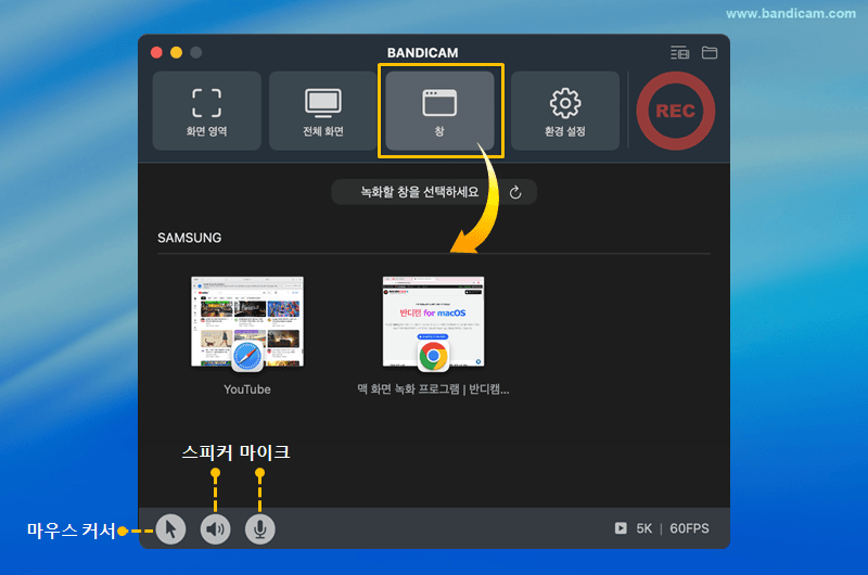 창 선택