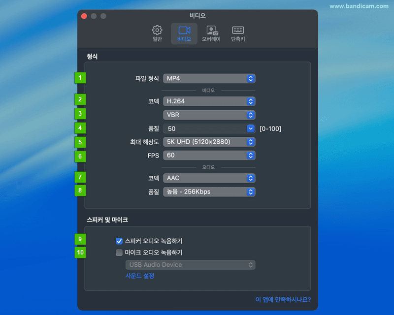 비디오 설정