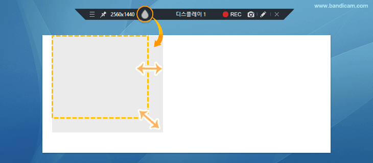 컴퓨터 화면 녹화, 모자이크 기능