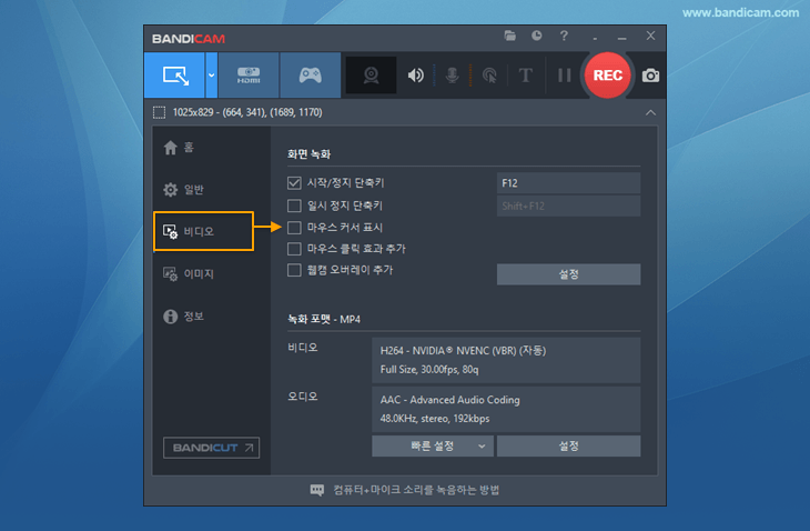 마우스 커서 표시 안함
